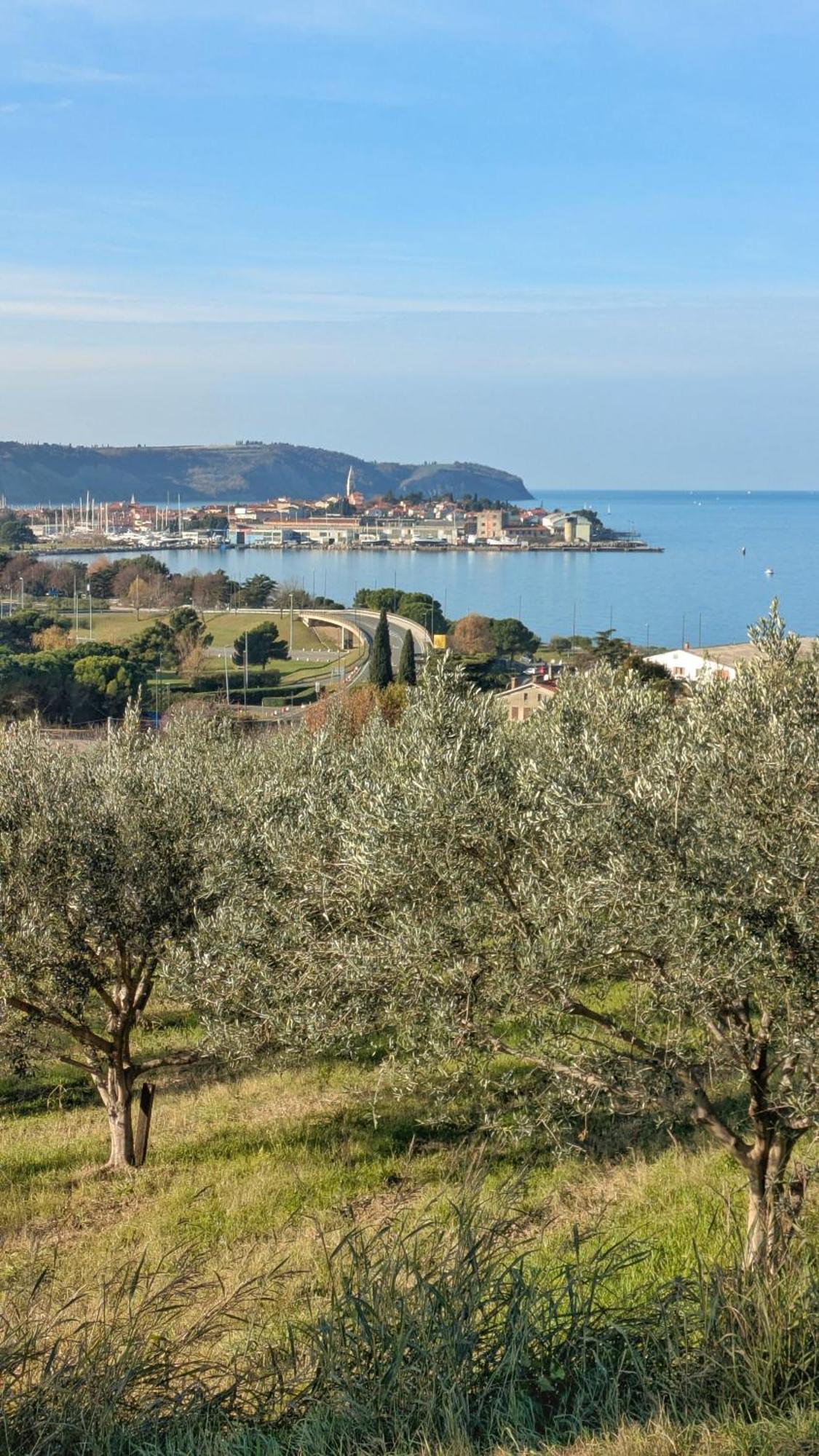 Apartmaji Diversorio Izola Kültér fotó